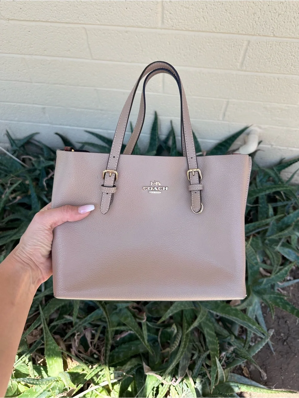 Coach Pebble Leather 2021 Mollie tote small